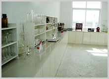 Laboratory of Physics and Chemistry