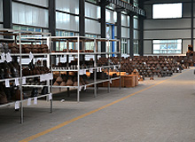 CS  Finished goods inventory