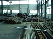CS  Raw materials library