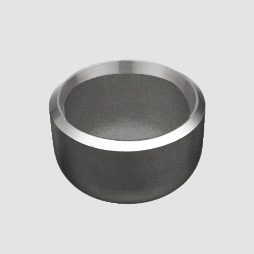 Cast Steel Check Valve