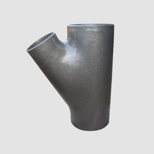 Forged Steel Check Valve